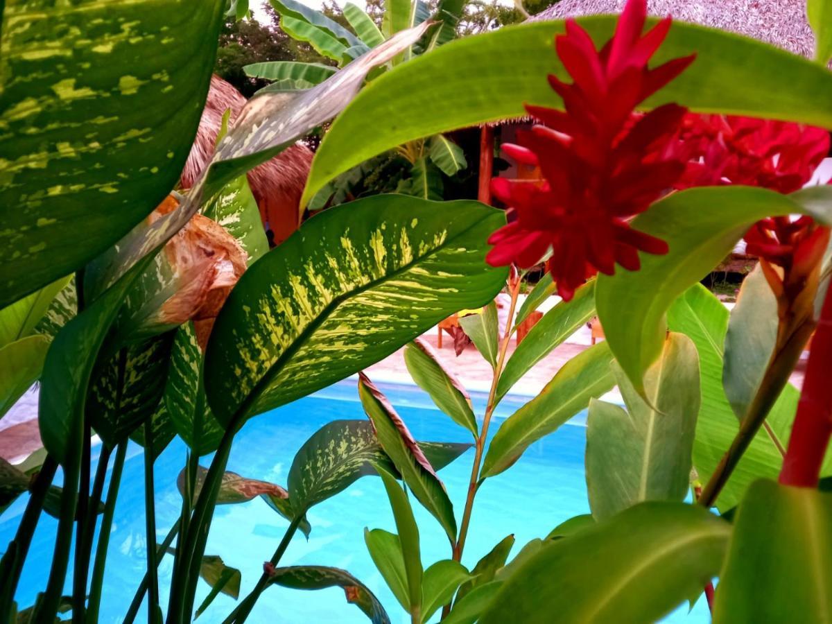 Cabanas Puesta Del Sol Las Peñitas エクステリア 写真